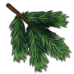 pine_needles