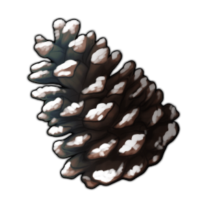 pinecone