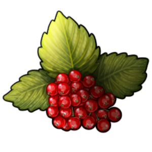 redcurrants