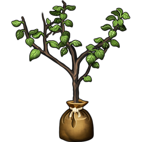 unplanted_helvallian_roots