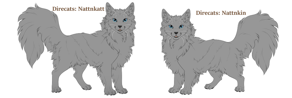 Nattnkatt